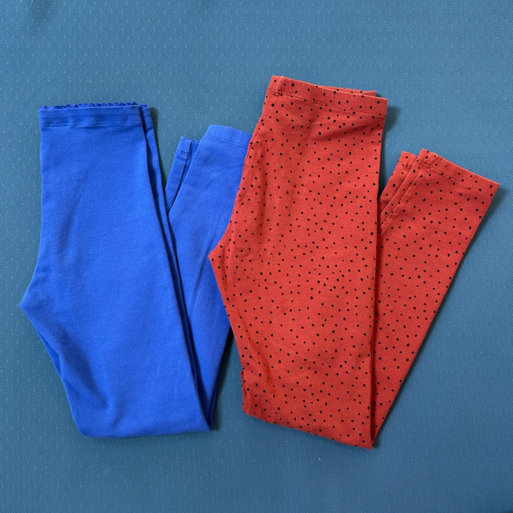 Tea Collection Rust and Cobalt Leggings Set